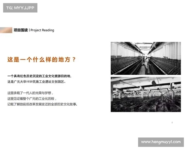 如何从多个维度分析文化IP成功改编的案例及其关键因素 如何从多个维度分析文化IP成功改编的案例及其关键因素