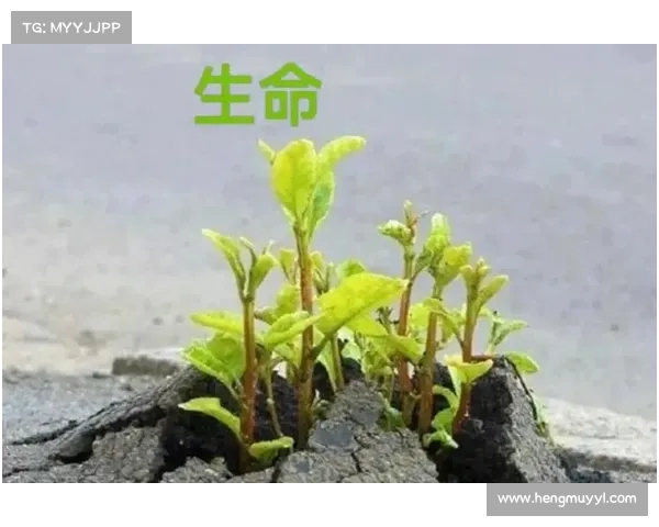 时间轮回与灵魂的深层联系:探索生命的无尽循环与存在的本质 时间轮回与灵魂的深层联系:探索生命的无尽循环与存在的本质